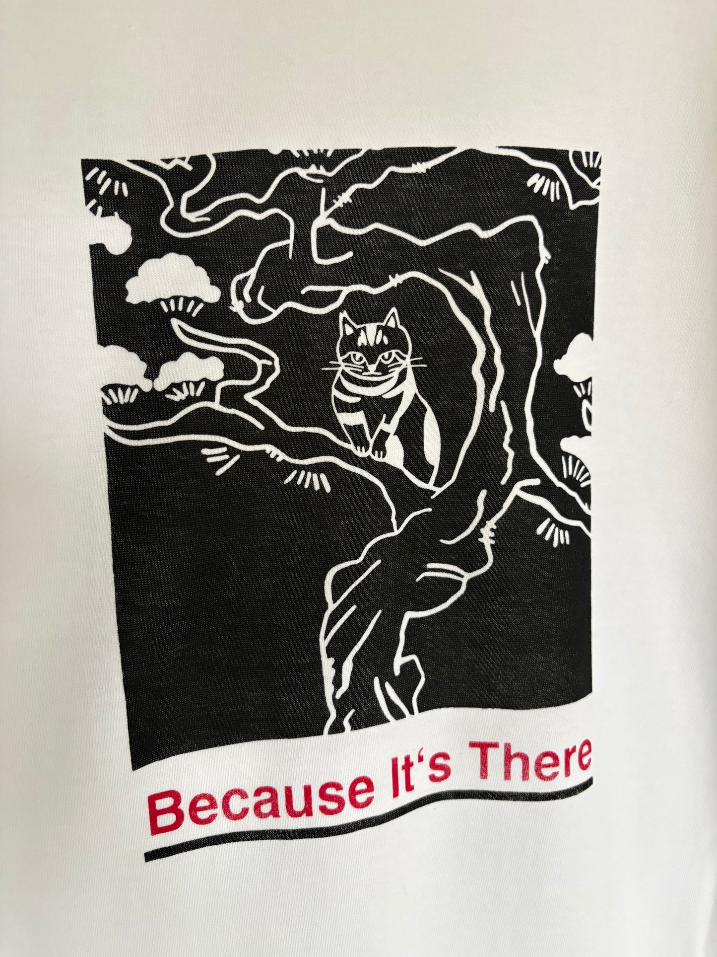 Because It's There ロングスリーブTシャツ(シルクスクリーン)