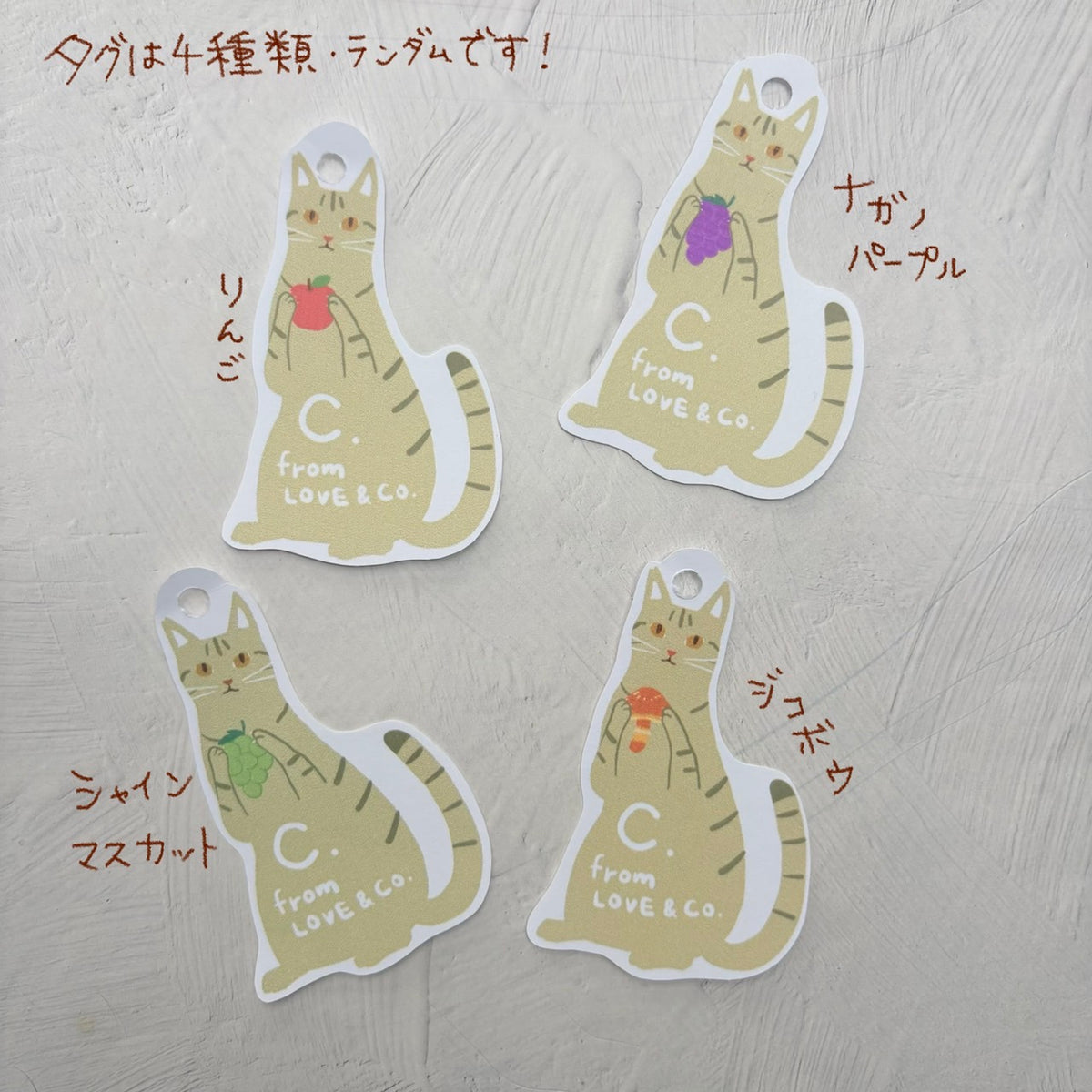 【そればな】生姜フィナンシェ＆ポポのハンカチギフトとドリップセット