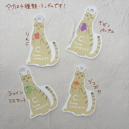 【そればな】生姜フィナンシェ＆ポポのハンカチギフトとドリップセット